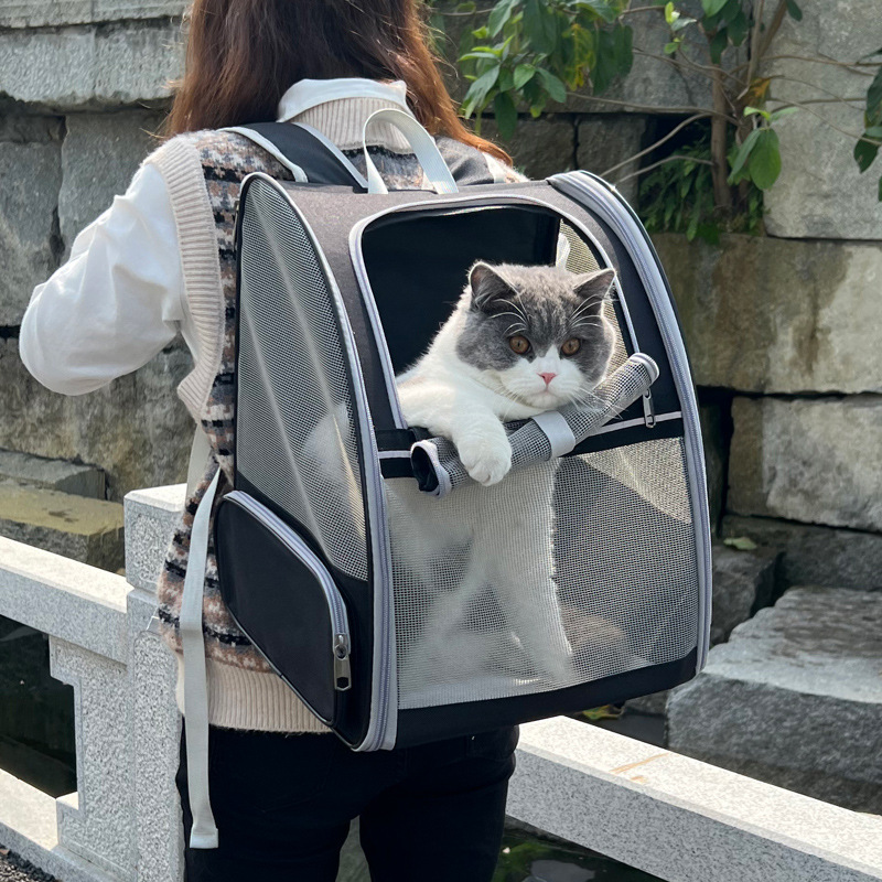 sac &agrave; dos pour animaux de compagnie