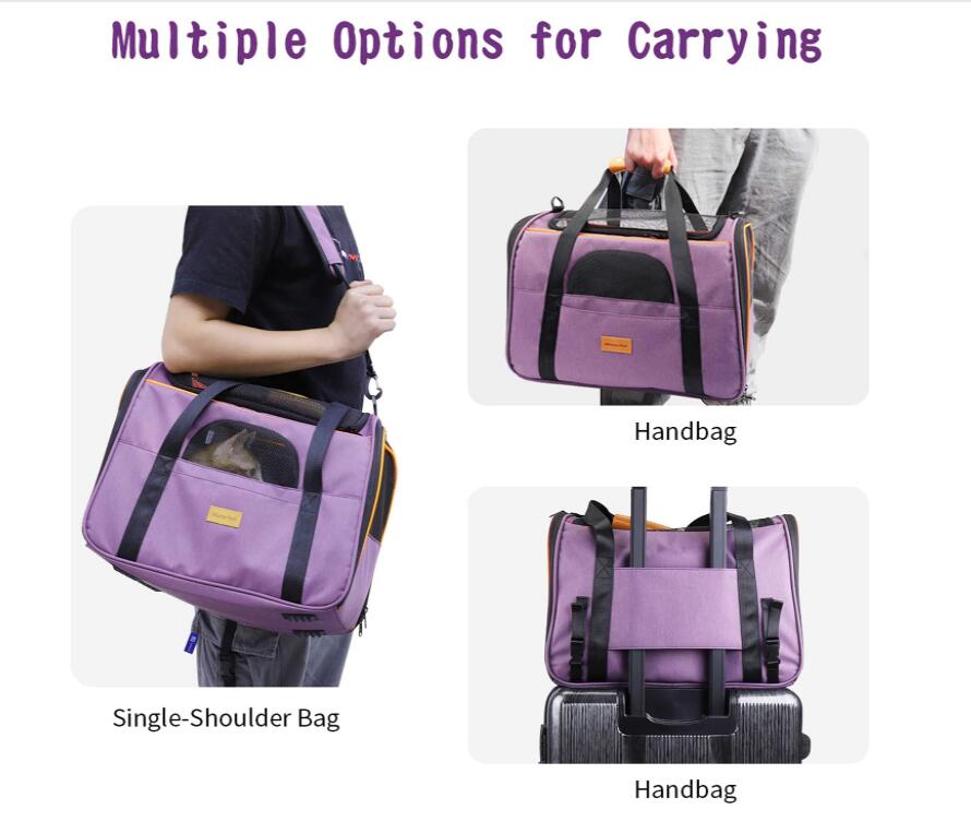 Chien transport sac couleur violet