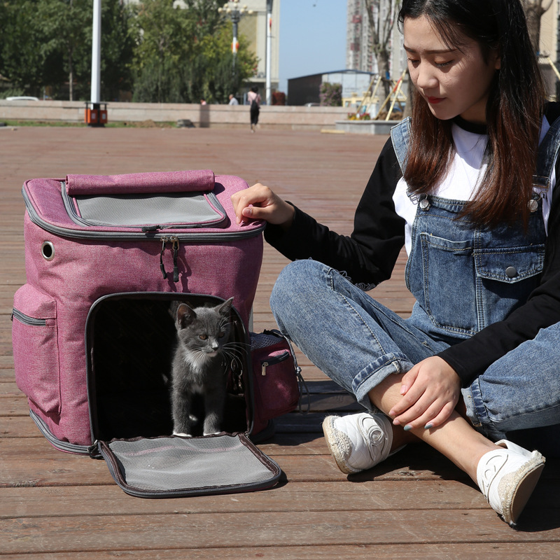 Personnalisez le sac à dos portable portable pour animaux de compagnie pour chien de compagnie de compagnie de compagnie de compagnie de compagnie