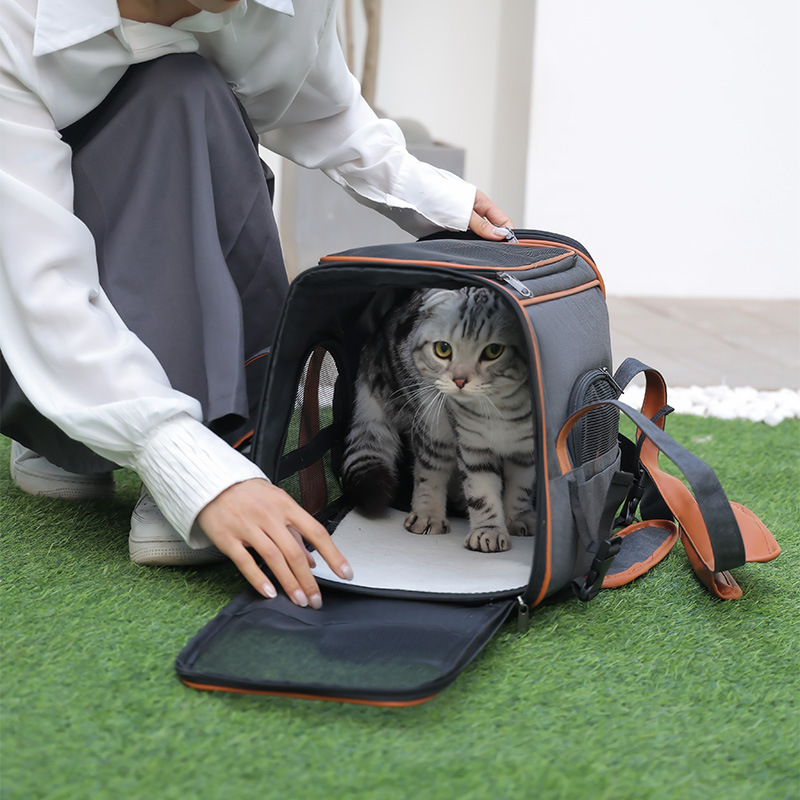Sac de transporteur pour animaux de compagnie OEM pour animal de compagnie de chat de voyage de voyage