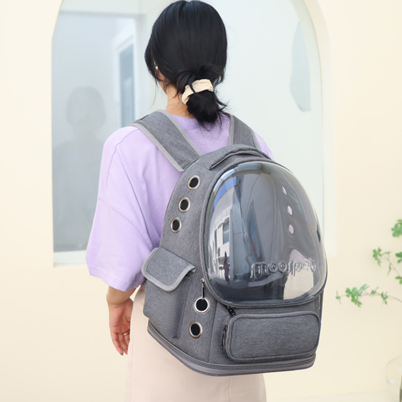 Carrier de chat respirant grand espace sac à dos pour animaux de compagnie pour minou petit chien transparent et repliable pour animaux de compagnie pour la randonnée de voyage