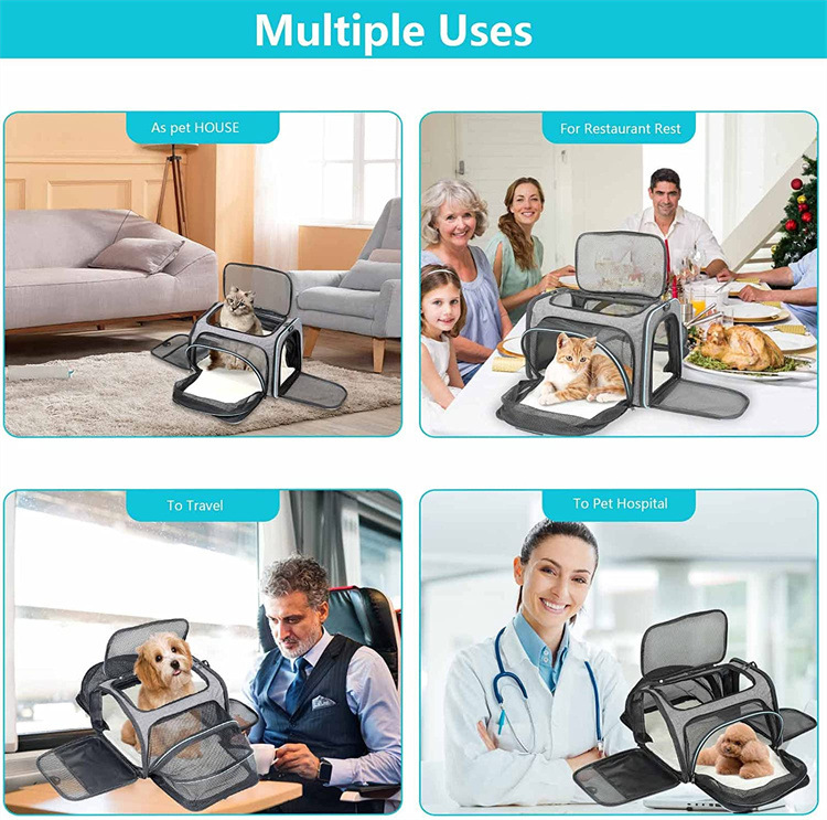 sac de transport pour animaux de compagnie extensible