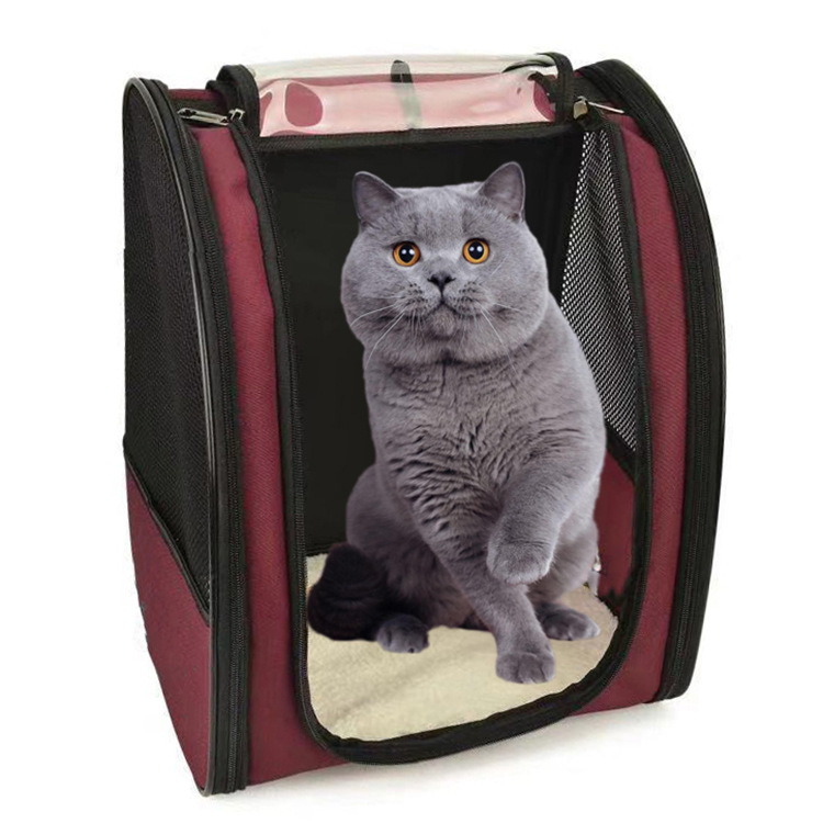 Personnalisez le sac à dos portable portable pour animaux de compagnie pour chien de compagnie de compagnie de compagnie de compagnie de compagnie