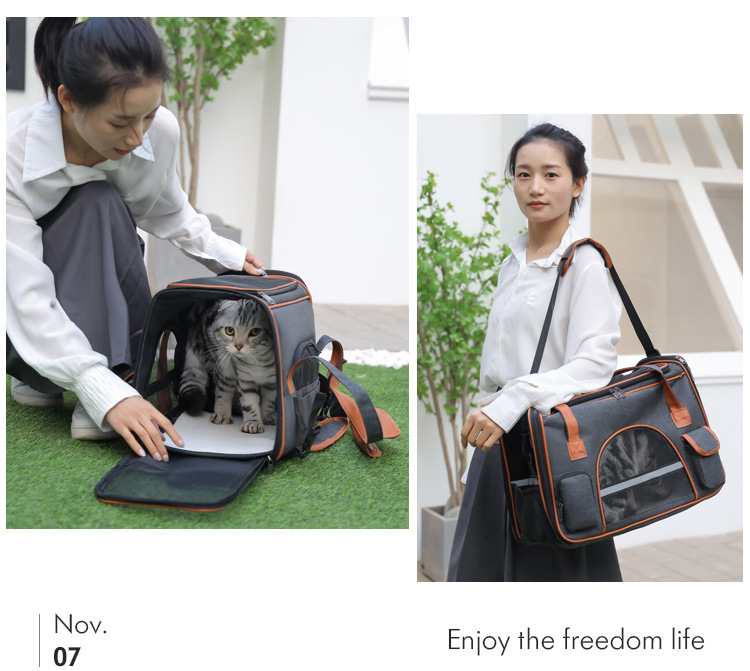 sac de transport pour animaux de compagnie portable