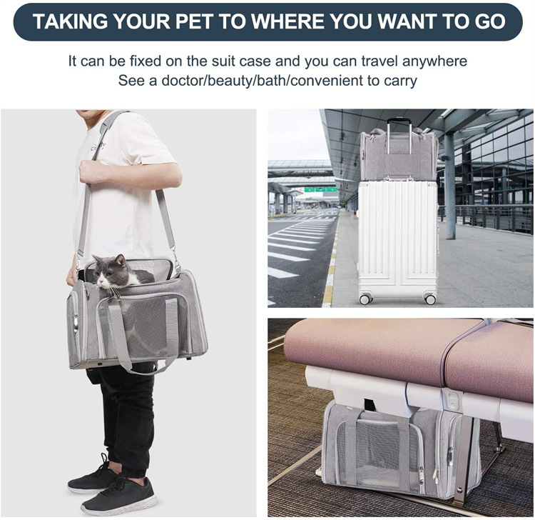 sac de transport pour animaux de compagnie portable