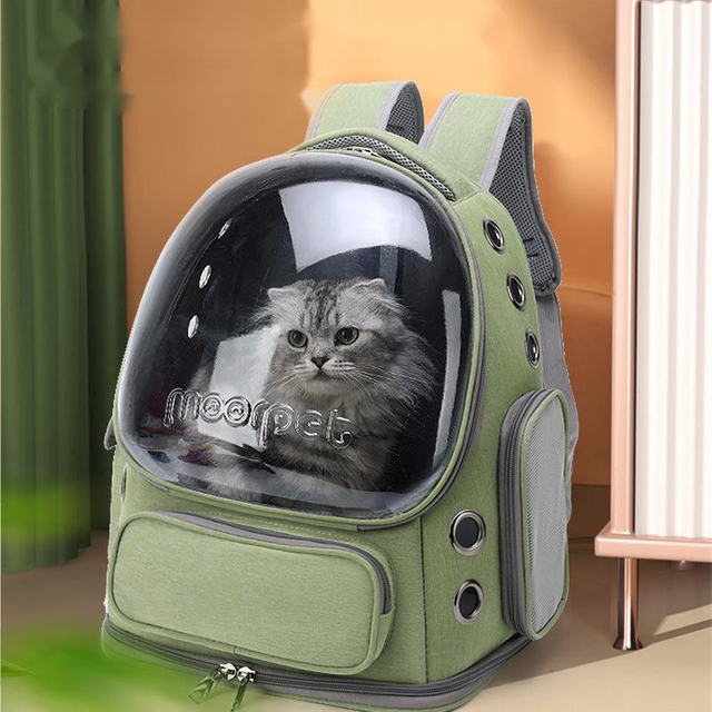 Carrier de chat respirant grand espace sac à dos pour animaux de compagnie pour minou petit chien transparent et repliable pour animaux de compagnie pour la randonnée de voyage