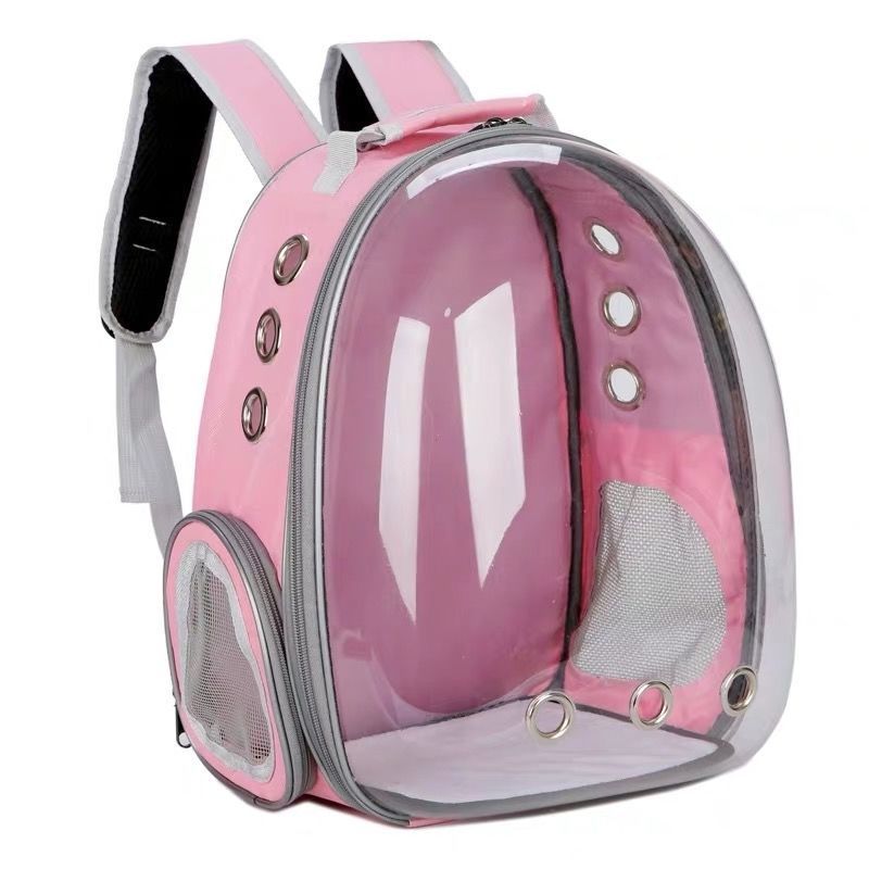 Breatte de chat d'espace pour chats porte-animal sac à dos pour Kitty petit chien transparent transparent pour voyager