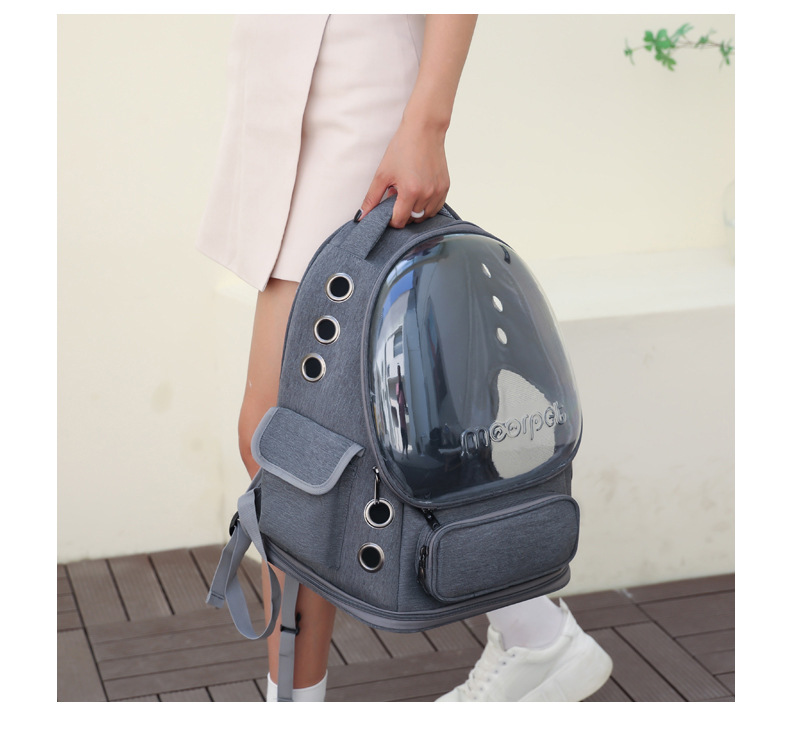 sac de transport pour animaux de compagnie