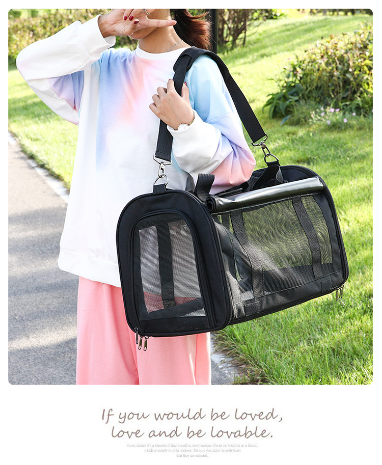 sac de transport pour animaux de compagnie portable
