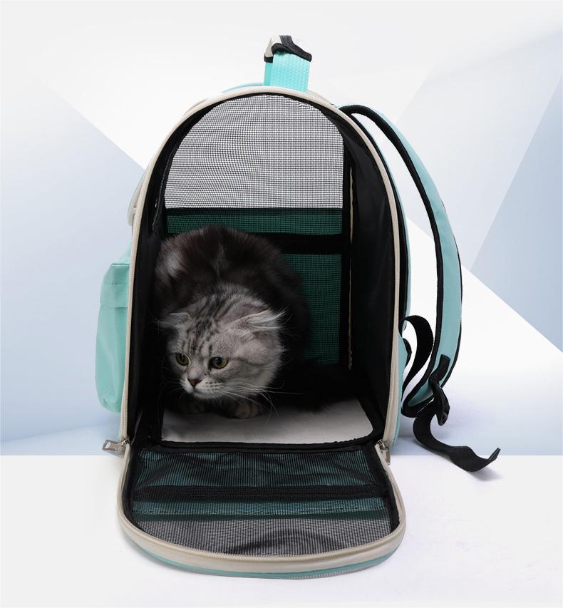 Sac à dos de porte-chat pour chats de compagnie de compagnie pour animaux de compagnie de voyage Cage d'animaux de compagnie