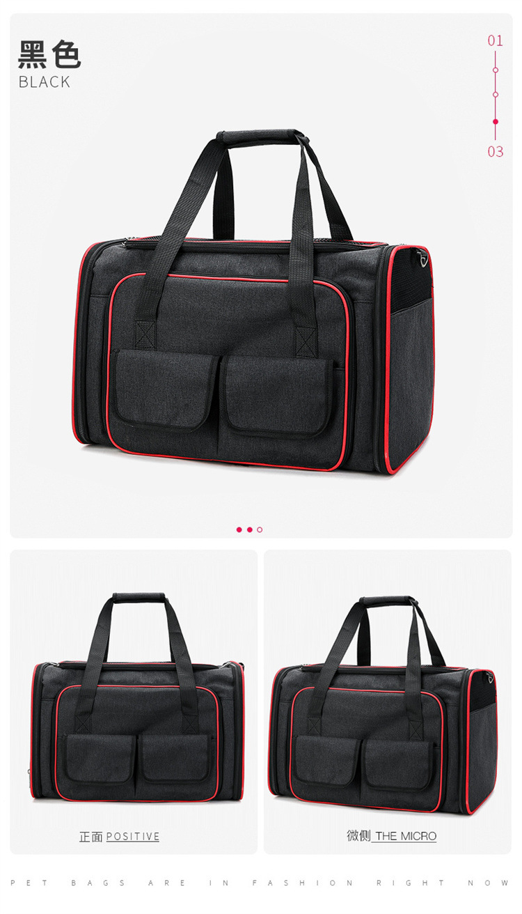 sac de transport pour animaux de compagnie